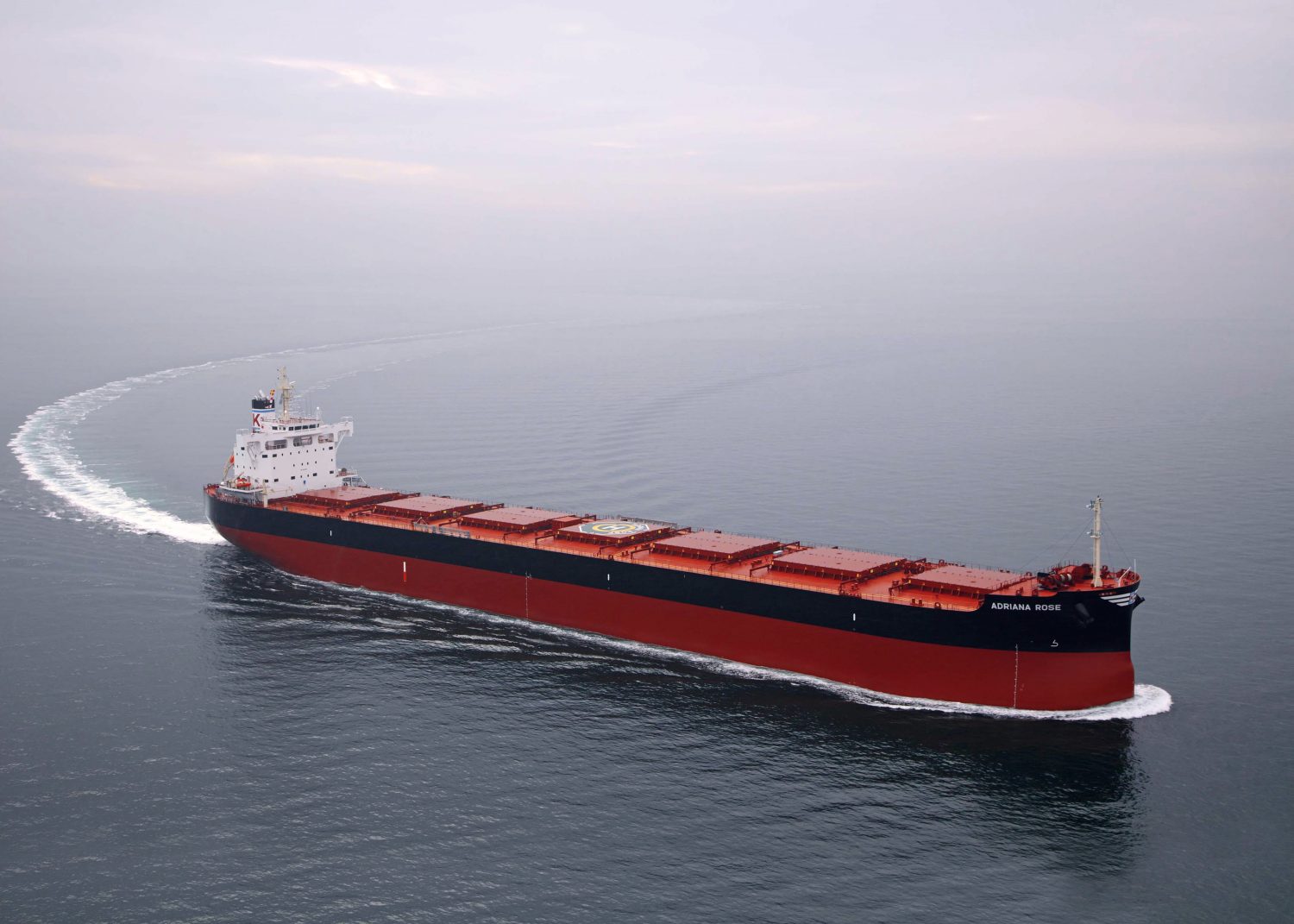 Bulk carriers technologies for the near future